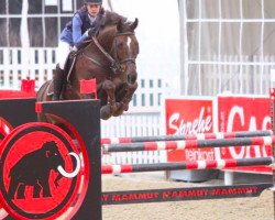 jumper Chieano (Zangersheide riding horse, 2002, from Chellano Z)