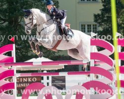 jumper Aquarius O (Swedish Warmblood, 2002, from Casir Ask)