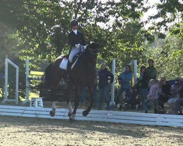 Reitturnier Ratingen-Hösel - Gut Gützenhof 2018