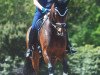 dressage horse Fresh Toffee (Westphalian, 2010, from Fifty Cent)