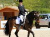 dressage horse Le Roi 11 (Zweibrücken, 2011, from Le Noir 35)