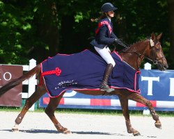 jumper Lili Marlene (Polish Warmblood, 2008, from Maram)