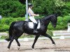 dressage horse Rositto (Hanoverian, 2007, from Rascalino)