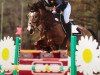 jumper Unbelievable (Dutch Pony, 2005)