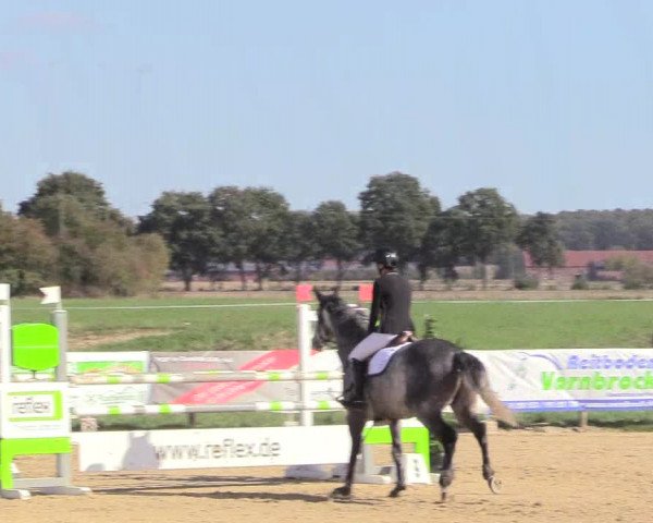 Reitturnier Lüdinghausen-Westrup 2018