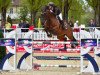 jumper Freak For Me (Hanoverian, 2005, from Holland)