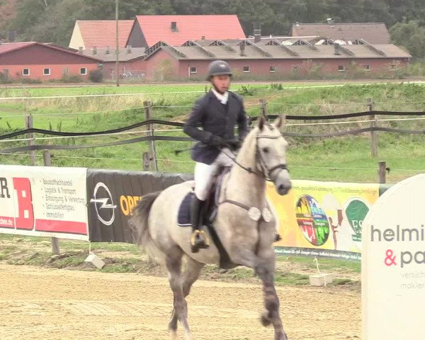 Reitturnier Lüdinghausen-Westrup 2018