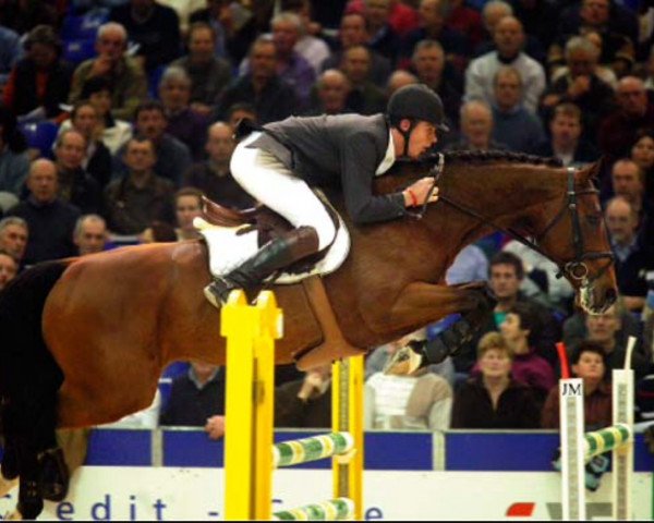 stallion Ovidius (KWPN (Royal Dutch Sporthorse), 1996, from Ciska W)