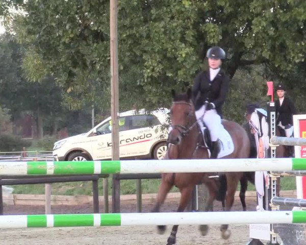 Reitturnier Lüdinghausen-Westrup 2018