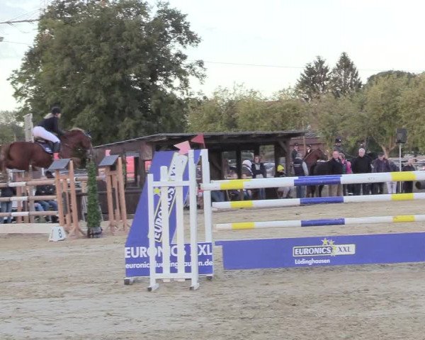 Reitturnier Lüdinghausen-Westrup 2018