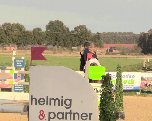 Reitturnier Lüdinghausen-Westrup 2018