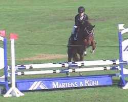 dressage horse Dandelion 30 (German Riding Pony, 2011, from Reitland's Du oder Keiner)