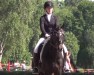 dressage horse Veneziano 14 (German Riding Pony, 2012, from Van Heinrich)