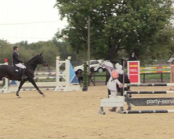 Reitturnier Lüdinghausen-Westrup 2018