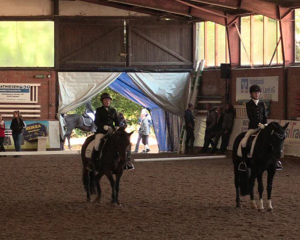 Reitturnier Ovenstädt 2018