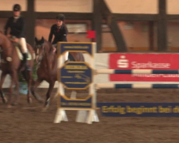 Reitturnier Ovenstädt 2018