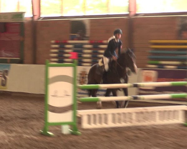 Reitturnier Ovenstädt 2018