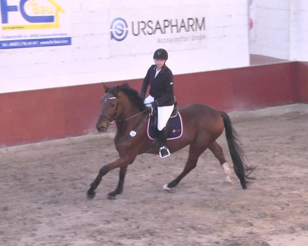 Reitturnier Neunkirchen-Furpach 2018