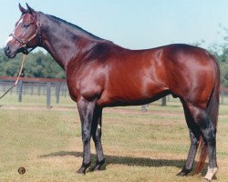 stallion West Acre xx (Thoroughbred, 1995, from Forty Niner xx)