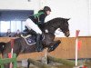 jumper Cleo 172 (Little German Riding Horse, 2005, from Continue)