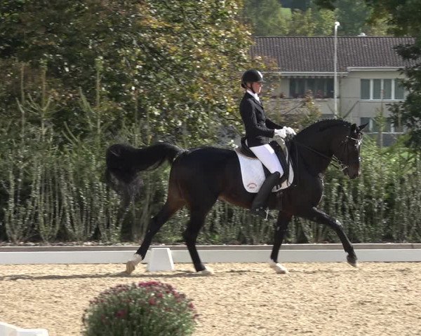 Reitturnier Deitingen 2018