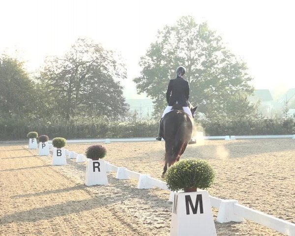 Reitturnier Deitingen 2018