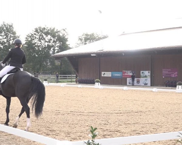 Reitturnier Deitingen 2018