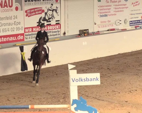 Reitturnier Gronau-Epe 2018