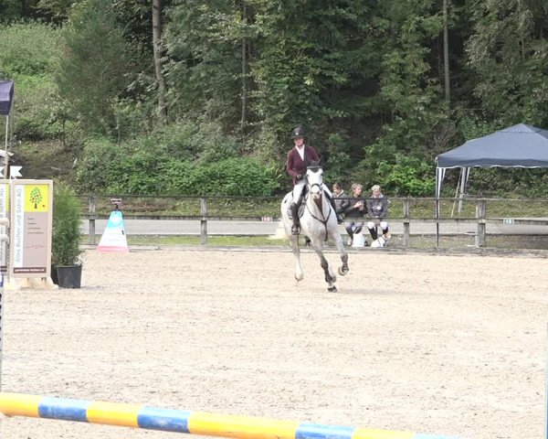 Reitturnier Sins 2018