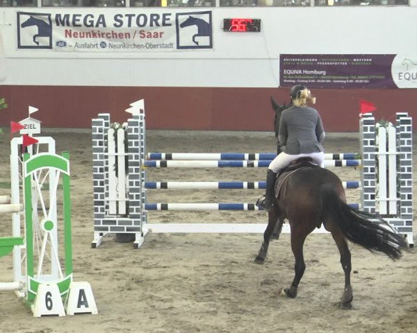 Reitturnier Neunkirchen-Furpach 2018