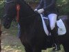 dressage horse La France H (Hanoverian, 2005, from Likoto xx)