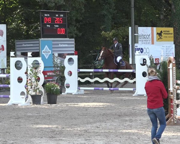 Reitturnier Sins 2018