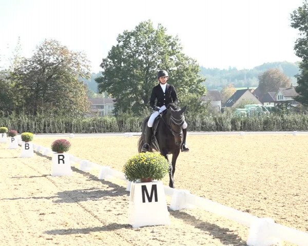 Reitturnier Deitingen 2018