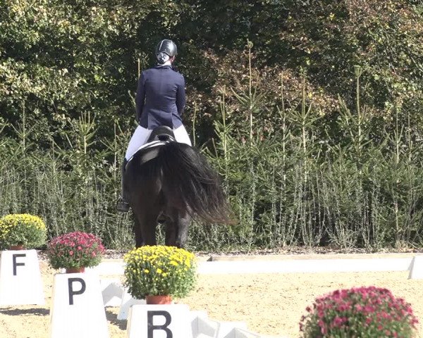 Reitturnier Deitingen 2018