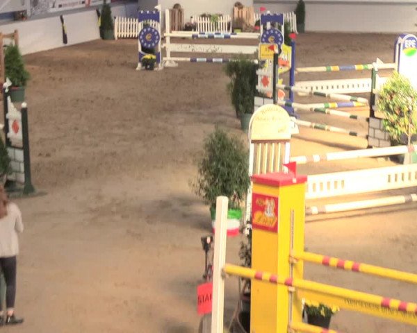 Reitturnier Gronau-Epe 2018