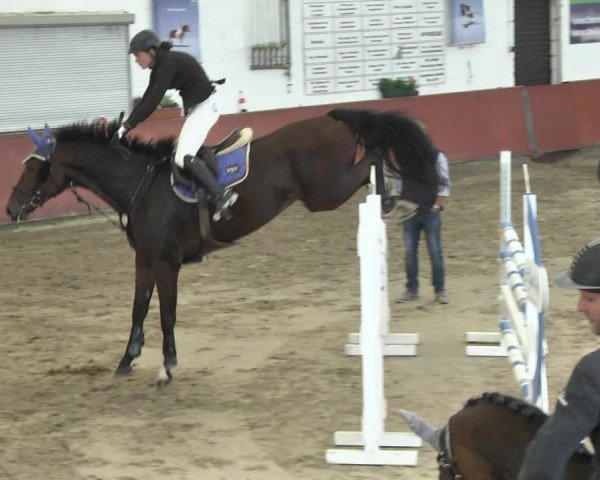Reitturnier Neunkirchen-Furpach 2018