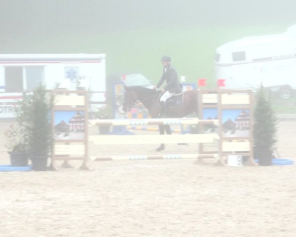 Reitturnier Sins 2018