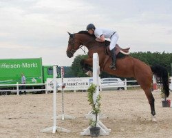 jumper Count Gino (Hanoverian, 2008, from Count Grannus)