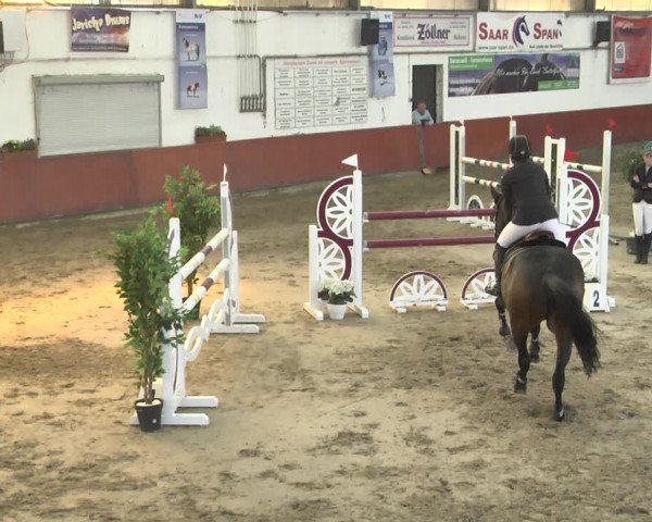 Reitturnier Neunkirchen-Furpach 2018