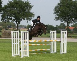 jumper Florence (KWPN (Royal Dutch Sporthorse), 2010, from Quasimodo Z)