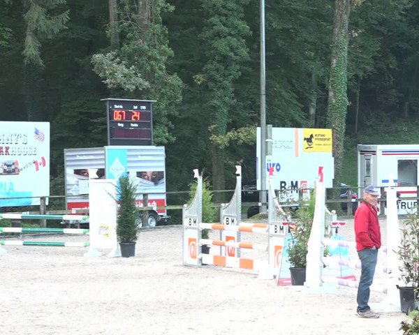 Reitturnier Sins 2018