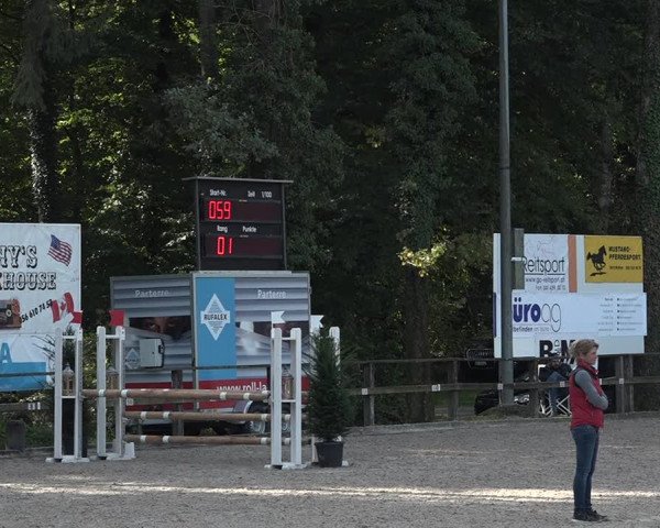 Reitturnier Sins 2018