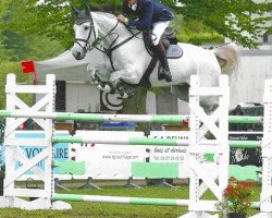 Springpferd Gunar S (Belgisches Warmblut, 2006, von Cavalier)