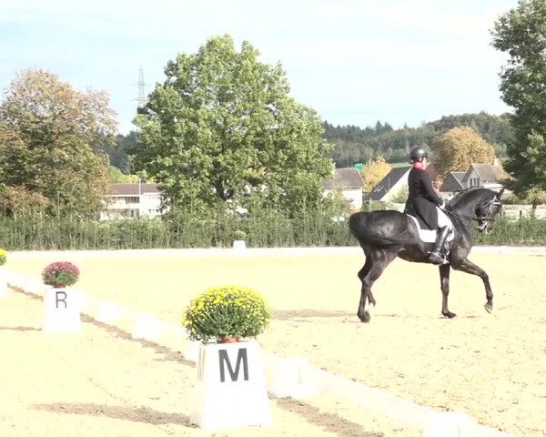 Reitturnier Deitingen 2018