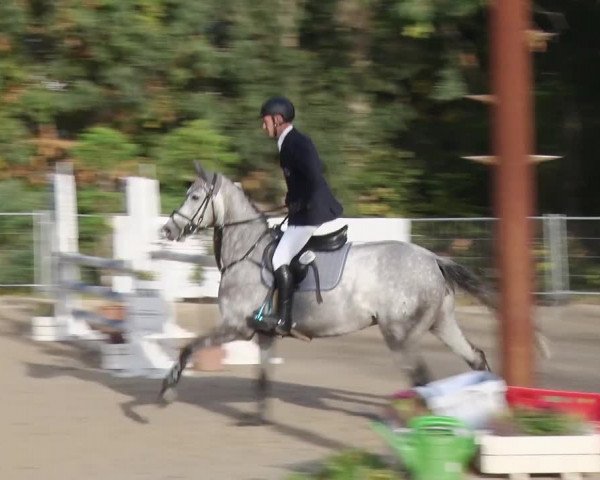 Reitturnier Greppin 2018