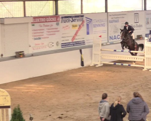 Reitturnier Gronau-Epe 2018
