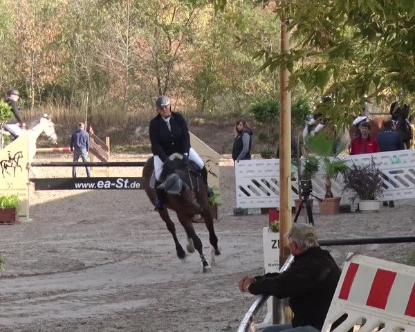 Reitturnier Greppin 2018