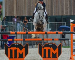 jumper Cilienthya (KWPN (Royal Dutch Sporthorse), 2008, from Valentino Ddh)