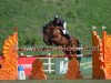 jumper Loon Illusion (Irish Sport Horse, 2006, from Obos Quality)