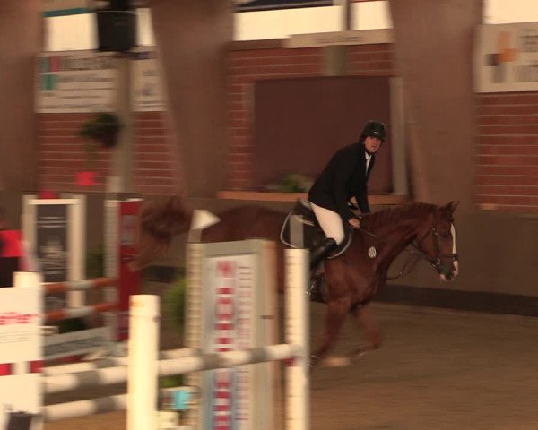 Reitturnier Hüllhorst 2018